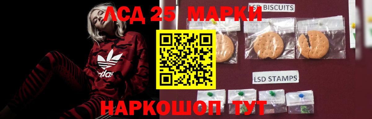 LSD-25 экстази ecstasy  Вход с VPN  Георгиевск 